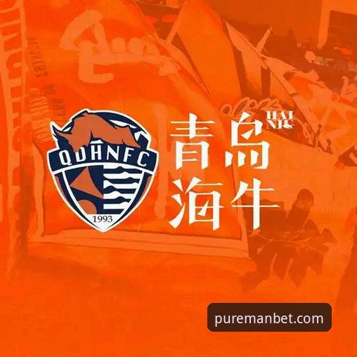 资深用户分享：海牛主场破海港，从这场13年宿命对决看万博平台观赛体验
